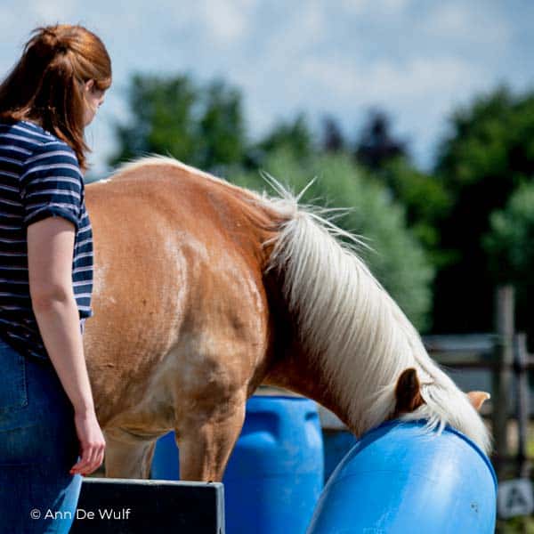 therapie en leren