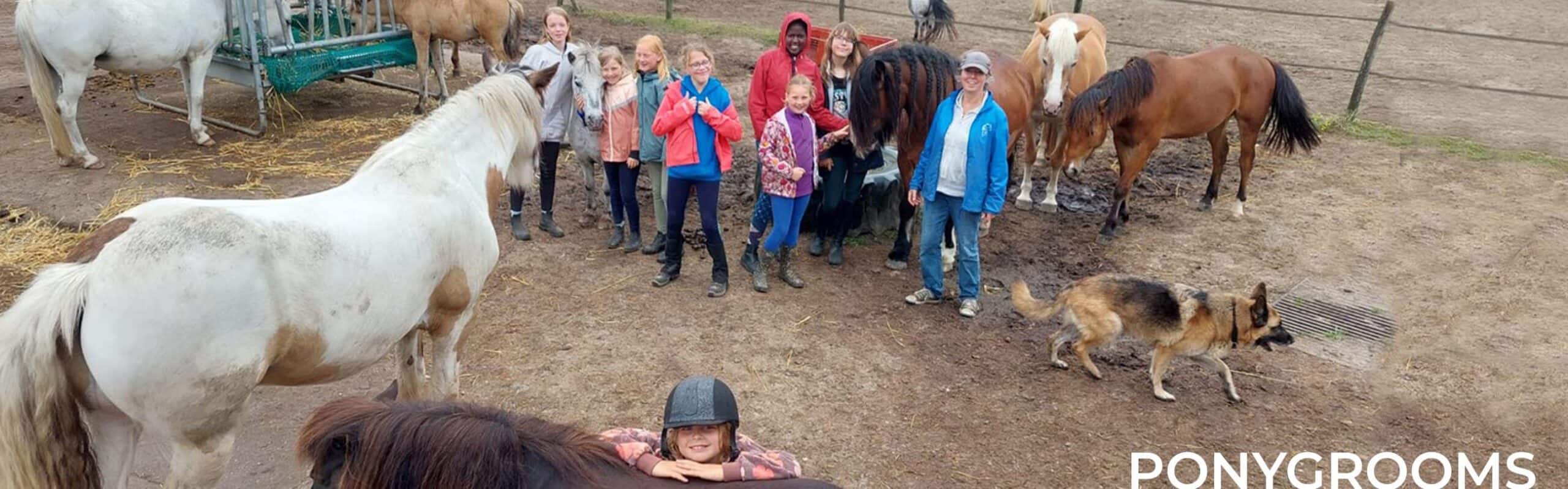 ponygrooms